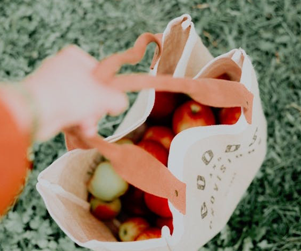 A hand holding a bag full of fresh produce