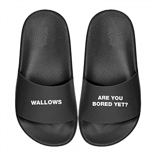 Wallows - Are You Bored Yet Slides 