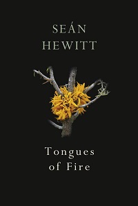 Tongues of Fire by Se?n Hewitt
