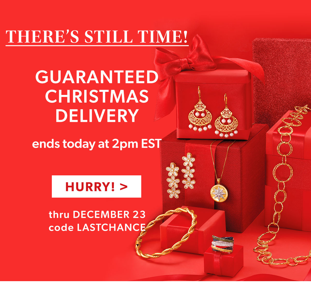 There is Still Time! Guaranteed Christmas Delivery Ends Today at 2pm EST. Hurry!