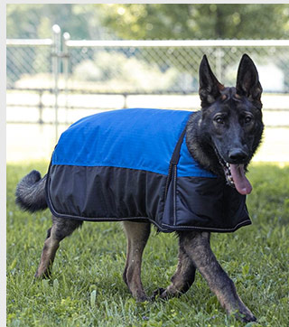 Dura-Tech Insulated Waterproof Reflective Dog Coat