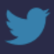 footer-twitter-newsletter-icon.png