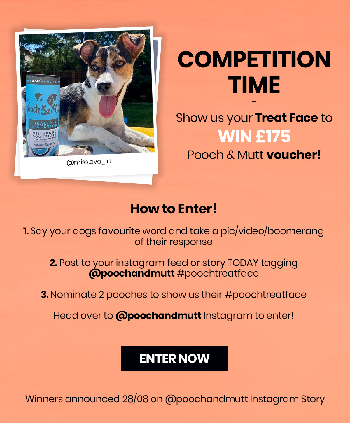 TREAT FACE COMPETITION - Win up to ?175 to spend at Pooch & Mutt!