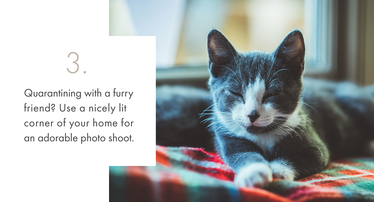3. Quarantining with a furry friend? Use a nicely lit corner of your home for an adorable photo shoot.