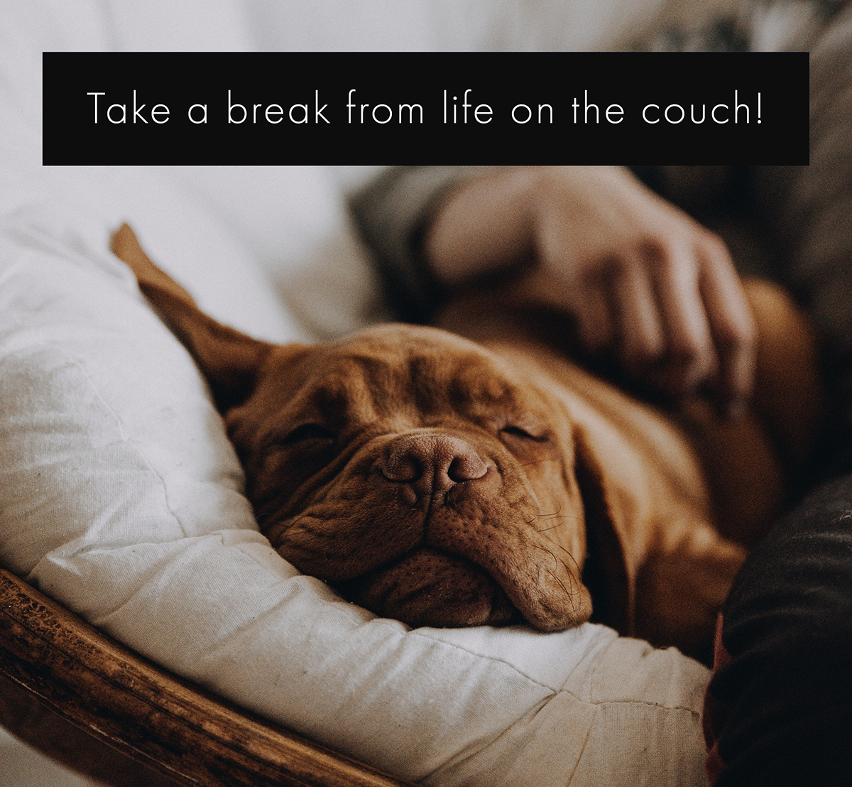 Take a break from life on the couch! 