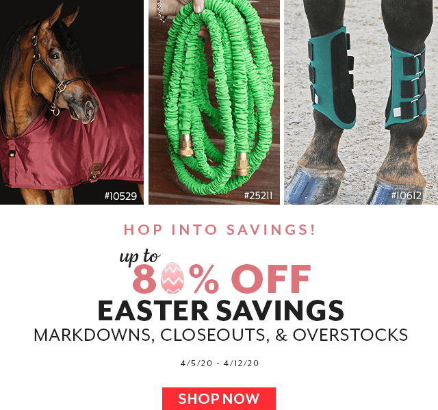 Hop into Savings with our Easter Closeouts! Up to 80% off now through Sunday.