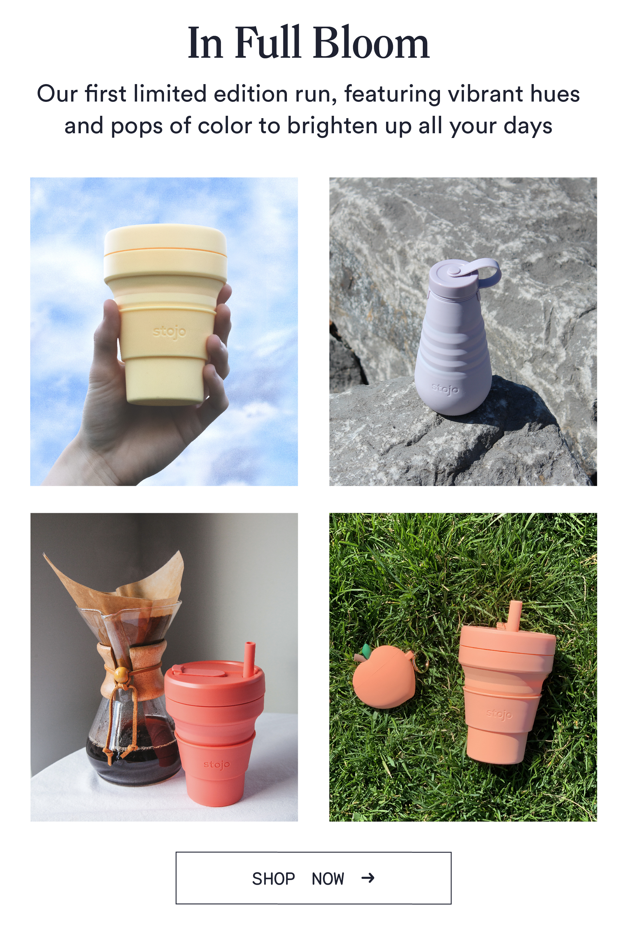 Shop Limited Edition Colors