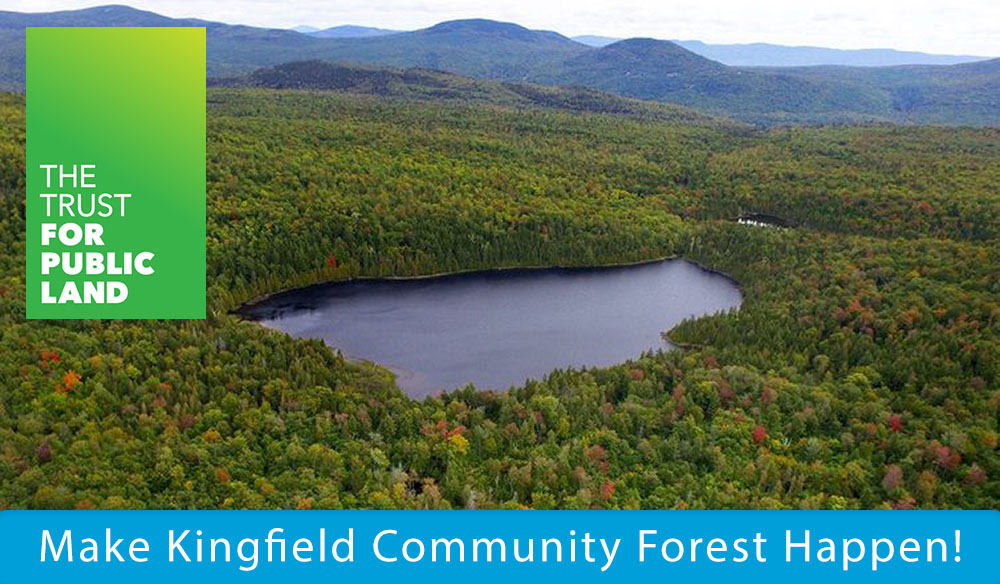 Make Kingfield Community Forest Happen!