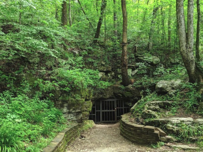 Visit One Of America''s Coolest Caves At Tumbling Rock Cave Preserve In Alabama