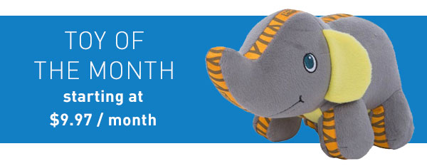 Toy of the Month