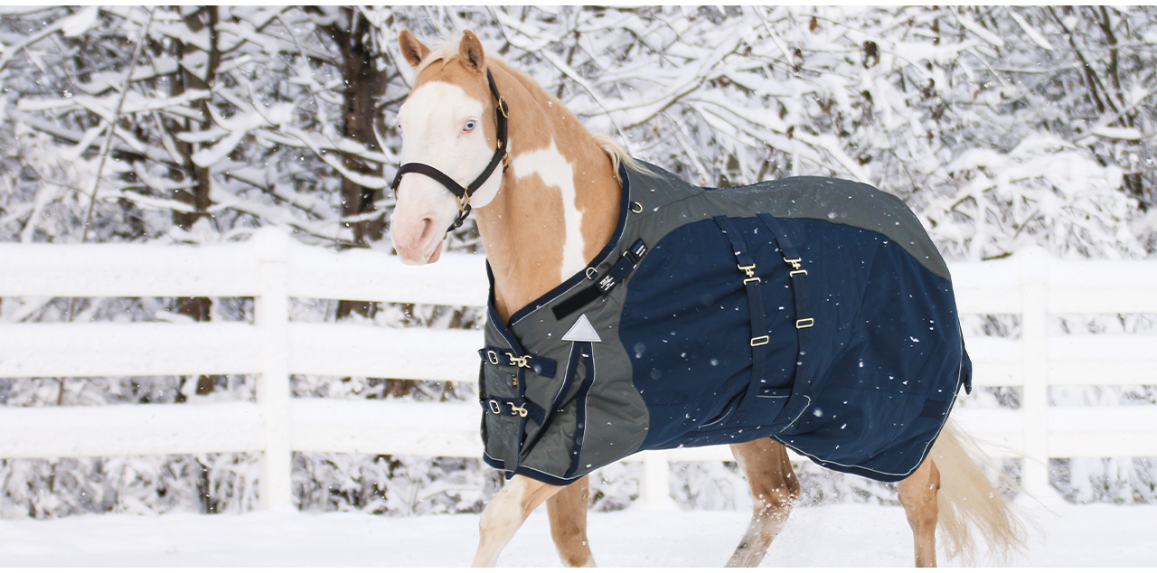 With winter storms incoming, make sure your horse is prepared.