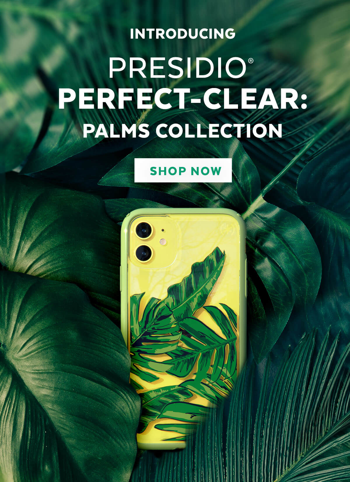 Introducing Presidio Perfect-Clear: Palms Collection. Shop now!