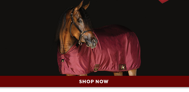 Up to 55% off Stable Sheets. 2/5/20 - 2/14/20.