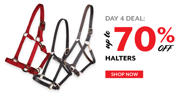 Up to 70% off Halters. 2/4/20 - 2/14/20