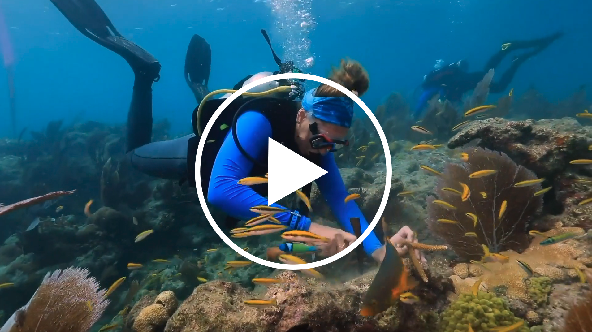 [VIDEO] What's happening to our coral reefs?