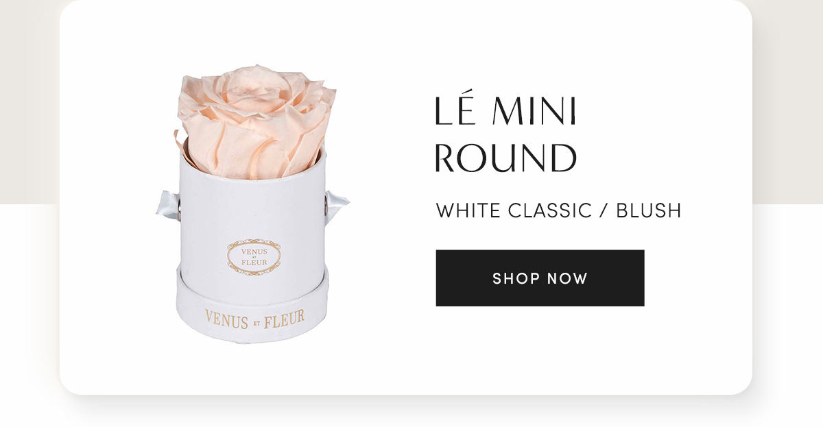 L? Mini Round | White Classic / Blush | shop now