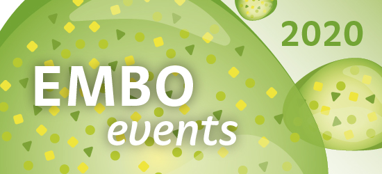 EMBO events