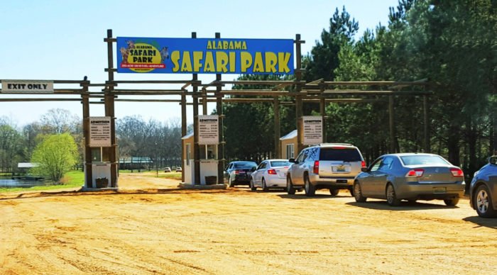 Adventure Awaits At This Drive-Thru Safari Park In Alabama