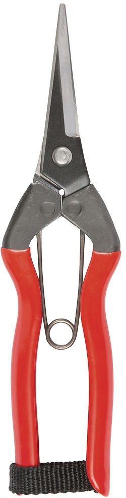 <p>Niwaki Garden Snips are sharp, slender and incredibly useful. We''re giving away a free pair with EVERY ORDER over ?40 this week*. This is a cracking deal - they usually retail for ?12.00 and are the kind of thing it''s nice to have a few pairs of, for the garden, greenhouse, kitchen and veg patch.?</p> <p>As with all tools, keep them clean (we recommend the Crean Mate) keep them sharp (with the #1000 grit Niwaki Sharpening Stone) and perhaps oil them (with some Camellia Oil, of course) once in a while, and these will repay you with clean precise cuts.</p>