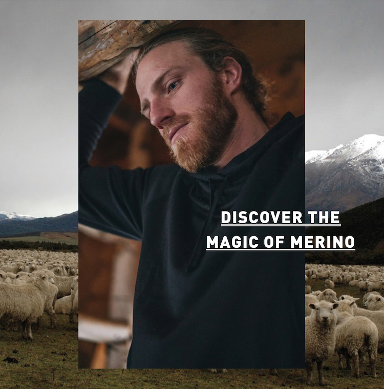 Discover the magic of Merino Wool
