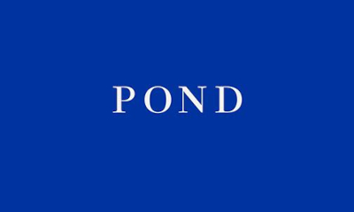 FROM THE ARCHIVE: Claire-Louise Bennett on Pond