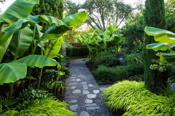 Gravel pathway in tropical garden