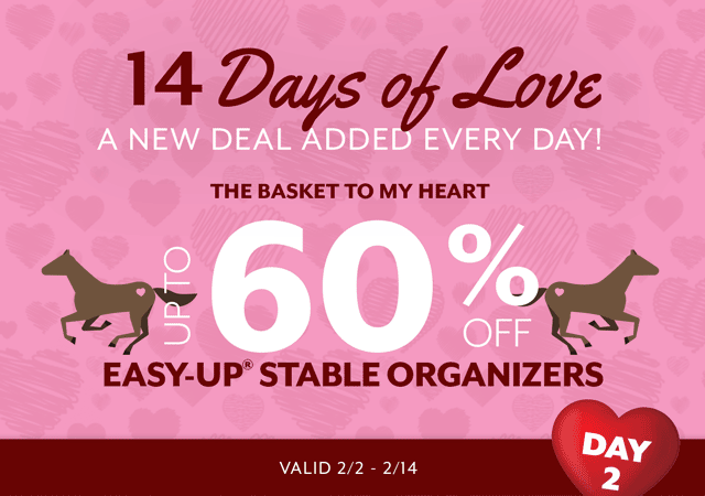 14 Days of Love - a new deal added every day. Today's lovely deal is on Easy-Up Stable Organizers.