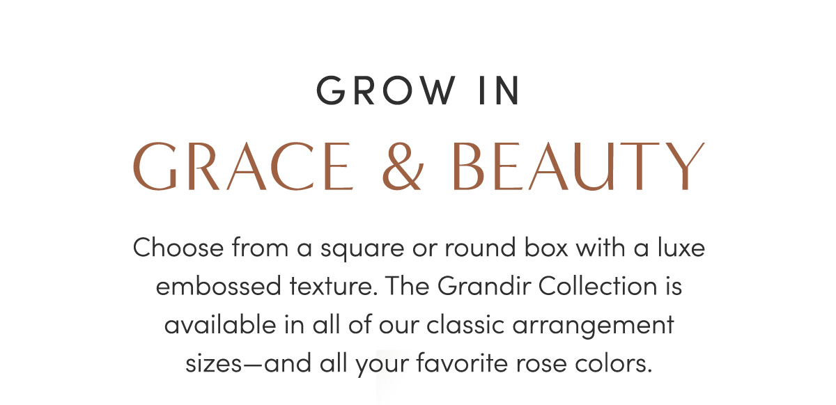 Grow in Grace & Beauty | Choose from a square or round box with a luxe embossed texture. The Grandir Collection is available in all of our classic arrangement sizes-and all your favorite rose colors.