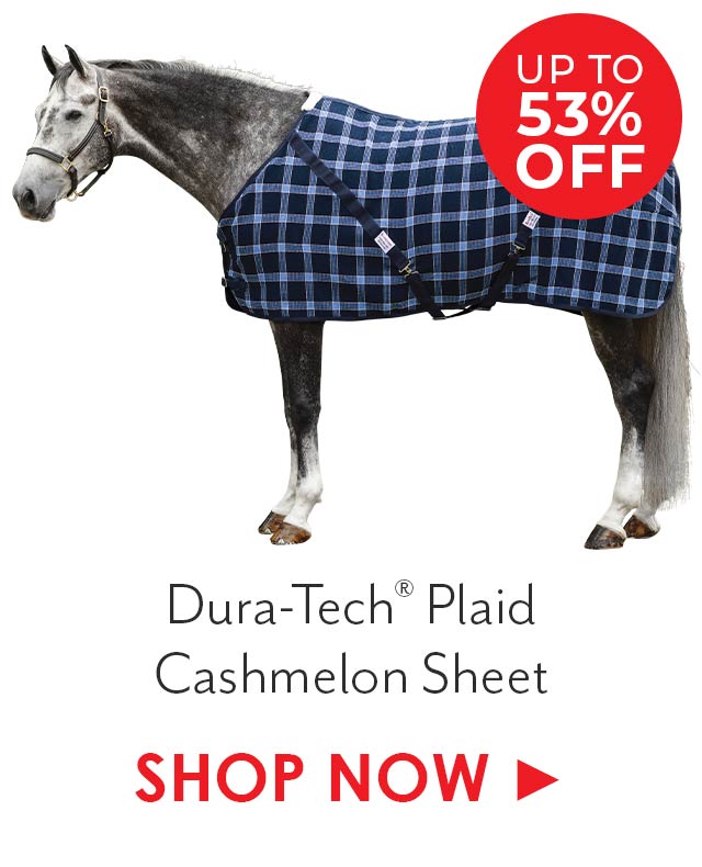 Dura-Tech Plaid Cashmelon Sheet