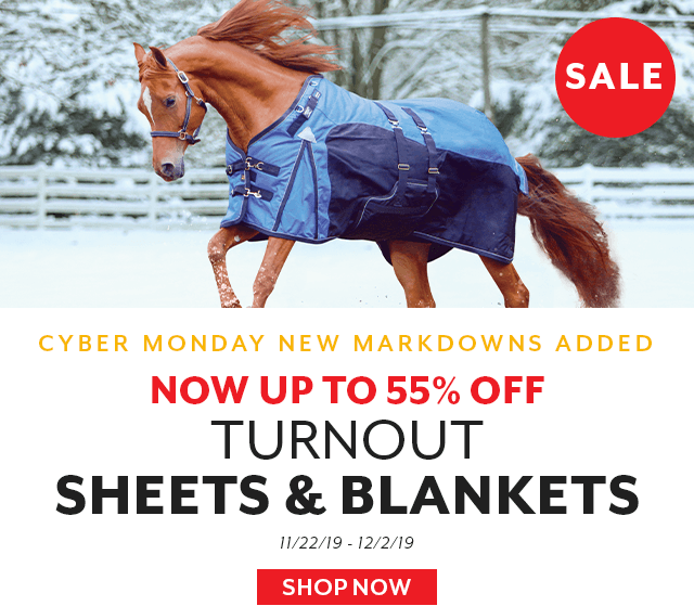 We've added new markdowns to our blanket blowout! Now up to 55% off.
