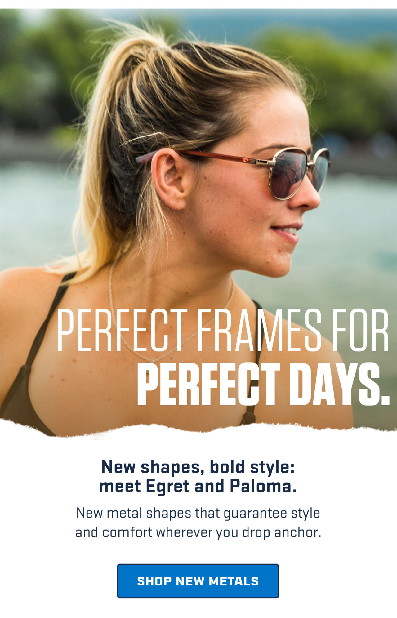 

PERFECT FRAMES FOR
PERFECT DAYS.

New shapes, bold style:
meet Egret and Paloma.
New metal shapes that guarantee style
and comfort wherever you drop anchor.

[ SHOP NEW METALS ]


									