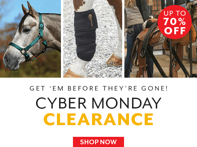 Cyber Monday Clearance! 150+ closeouts now marked down.