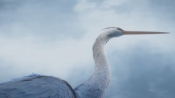 'Sous La Glace,' Wins 2020 GSA BAFTA Film Award in Animation
