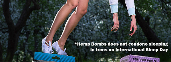 Happy International Sleep Day *Hemp Bombs does not condone sleeping in trees on International Sleep Day