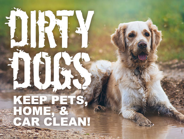Keep your pets, home, and car clean!