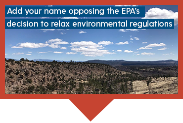 Add your name opposing the EPA''s decision to relax environmental regulations