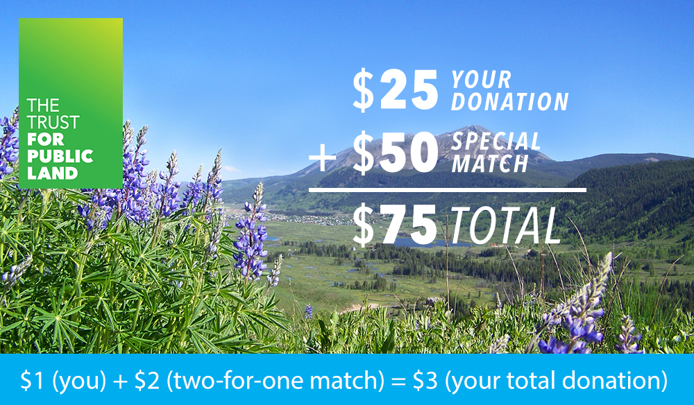 $1 (you) + $2 (two-for-one match) = $3 (your total donation)