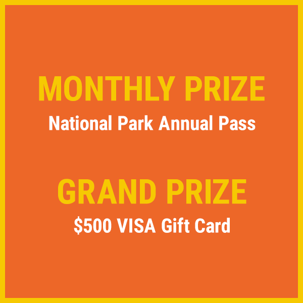 Monthly Prize & Grand Prize Announcements