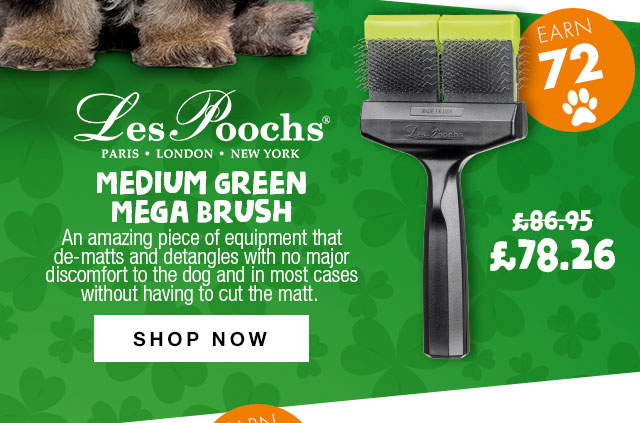 10% Off Les Poochs Medium Green Mega Brush