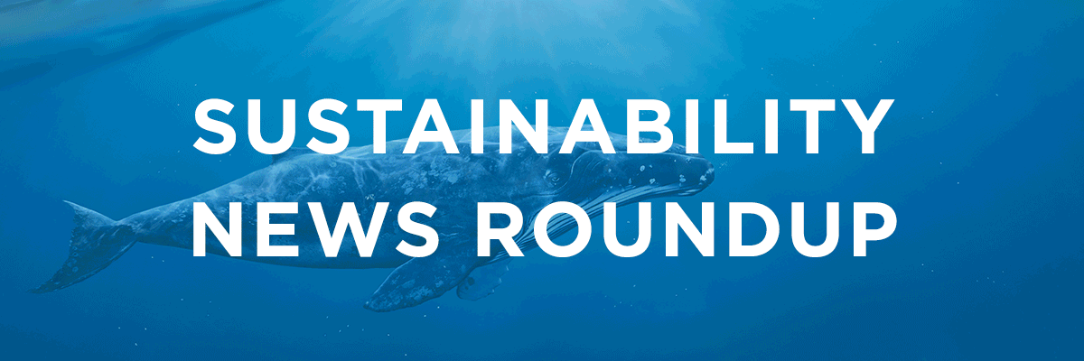 Sustainability News Roundup