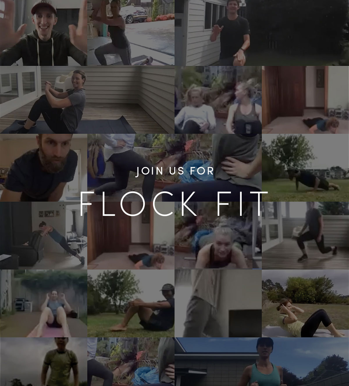 Join us for Flockfit