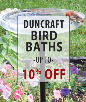 Up to 10% Off Duncraft Brand Bird Baths!