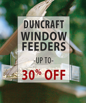 Up to 30% Off Duncraft Brand Window Feeders!