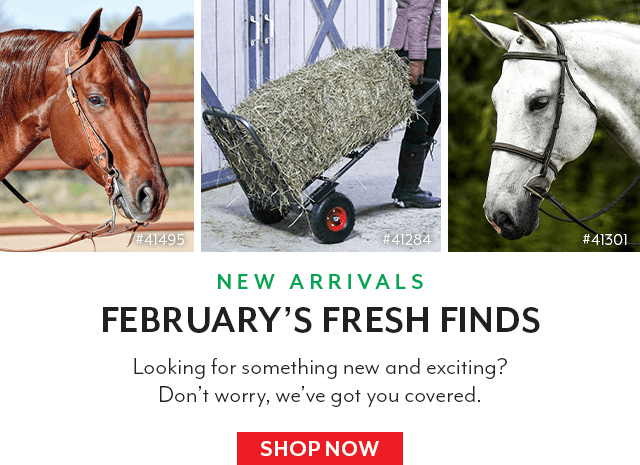 Check out our new arrivals for February. 