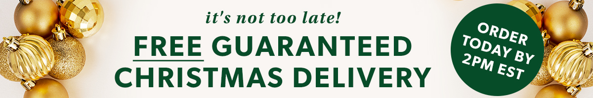 Free Guaranteed Christmas Delivery. Order Today By 2PM EST