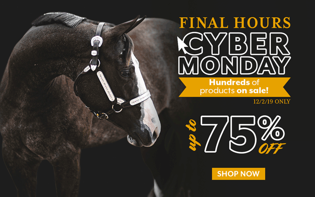 Cyber Monday Sale over in just 4 Hours! Up to 75% off hundreds of items.