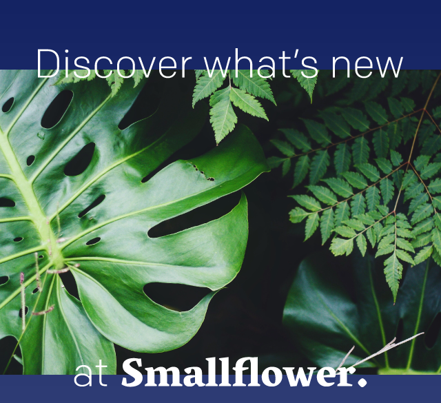 Discover what''s new at Smallflower.
