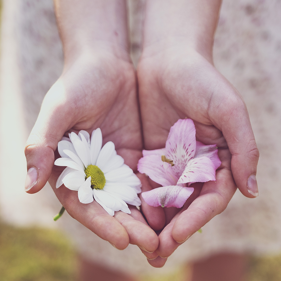 Donate metaphor hands holding flowers