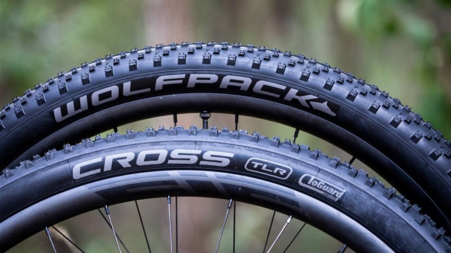 First rides on Wolfpack MTB tyres