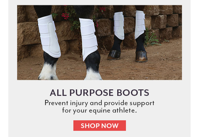 All Purpose Boots